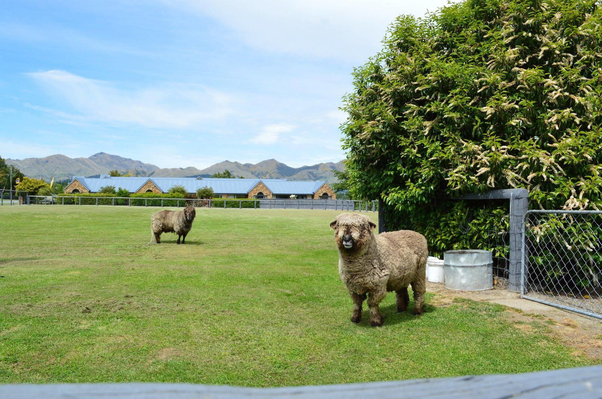 Amuri House Boutique 4* Hanmer Springs